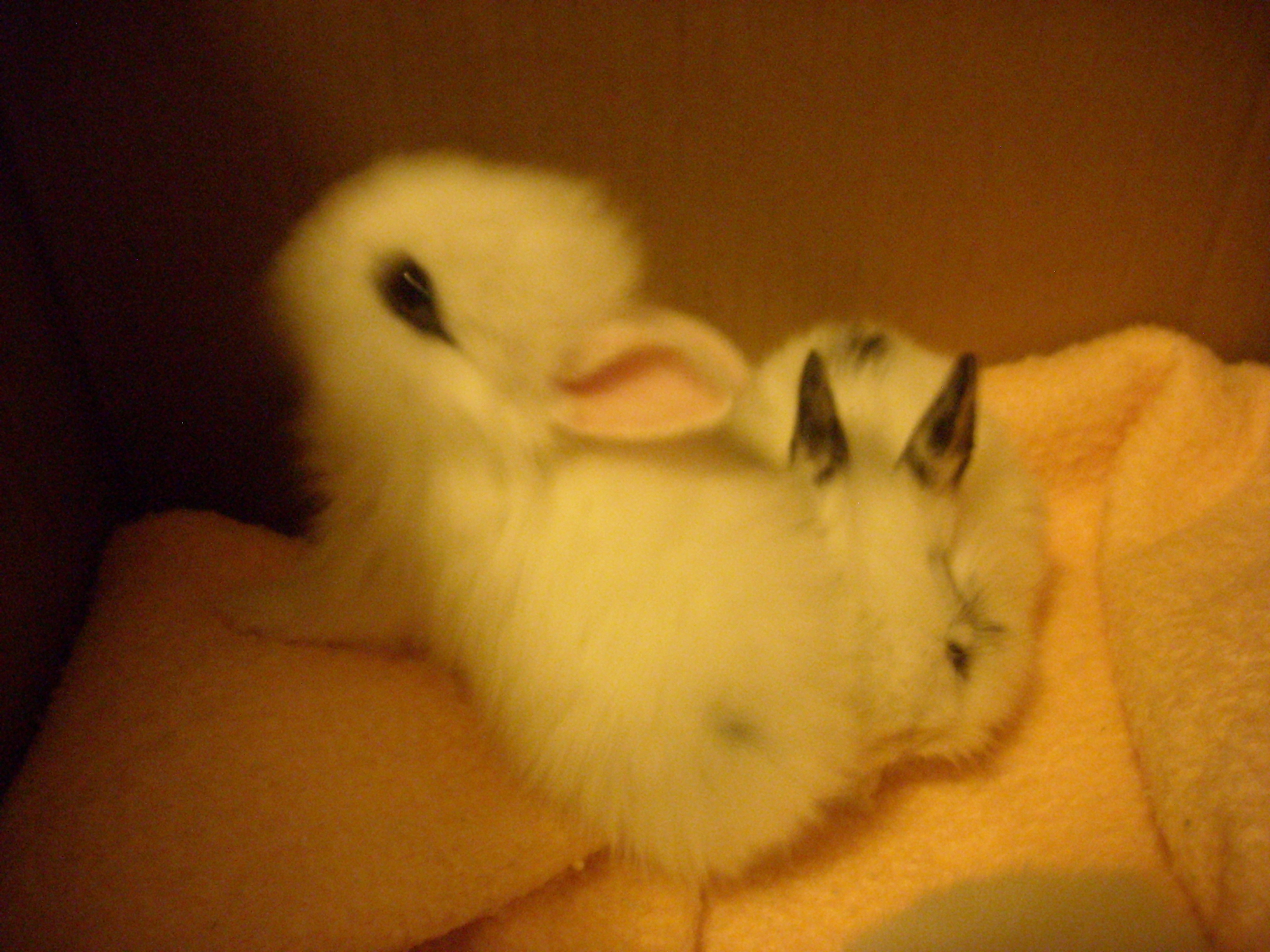 DSCN2317.jpg