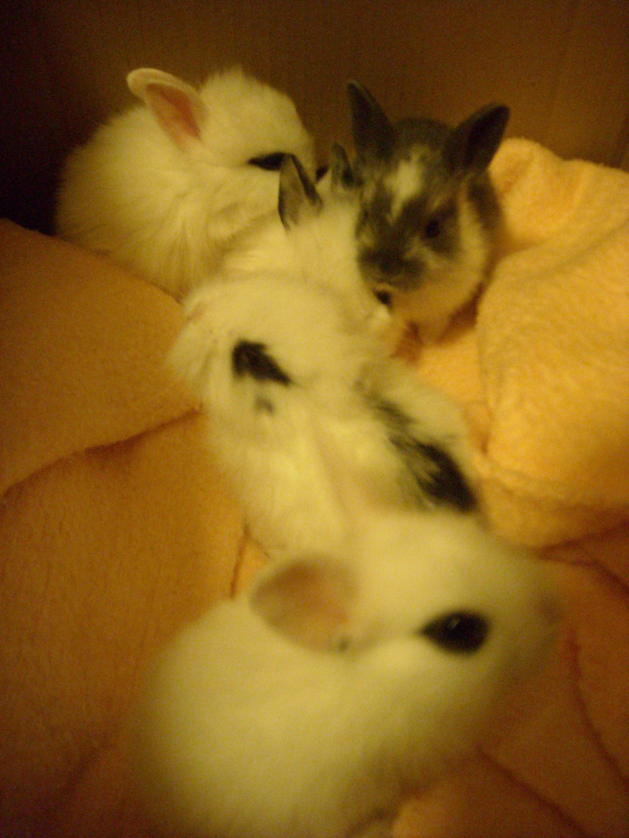 DSCN2314.jpg