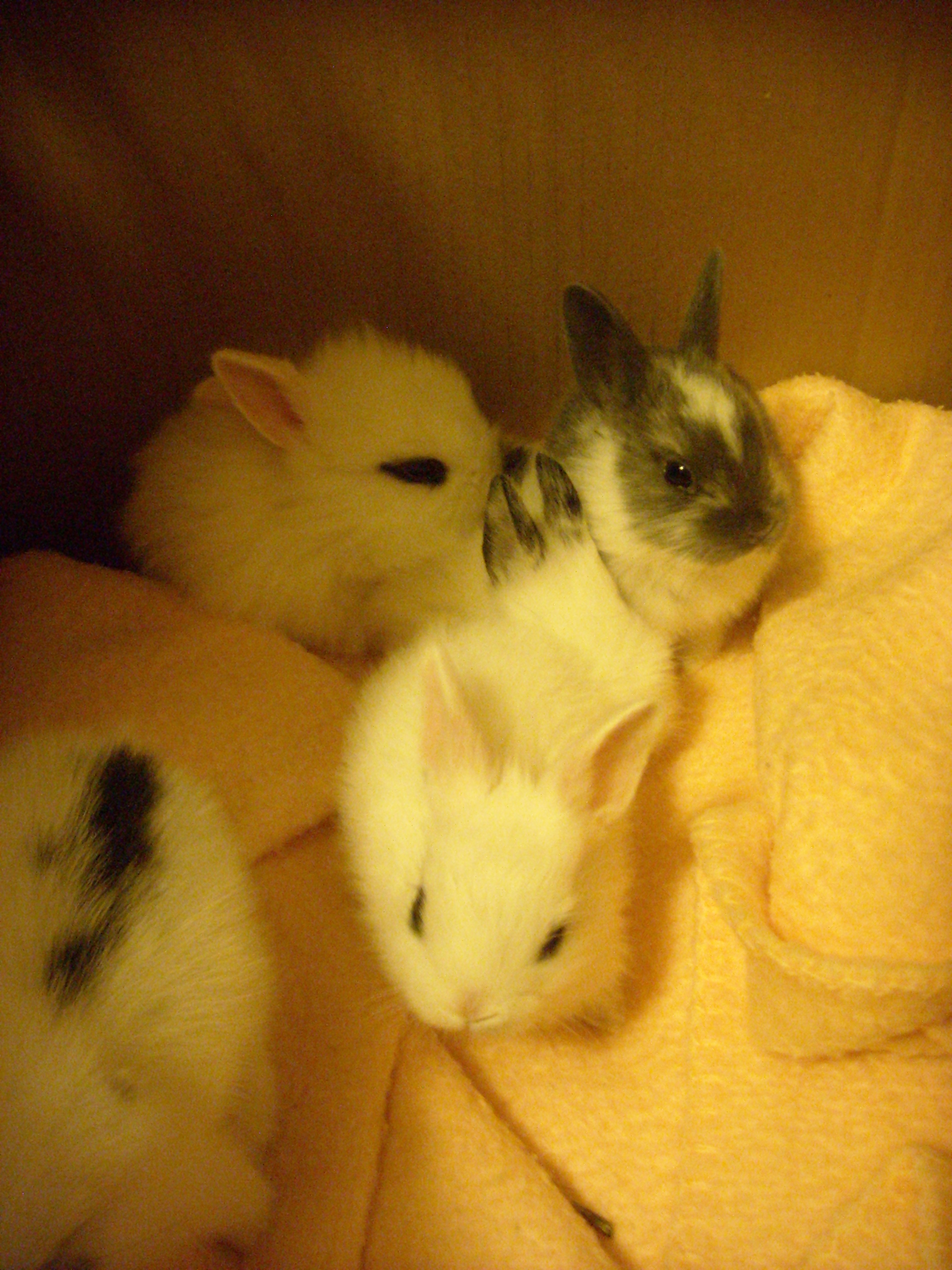 DSCN2315.jpg