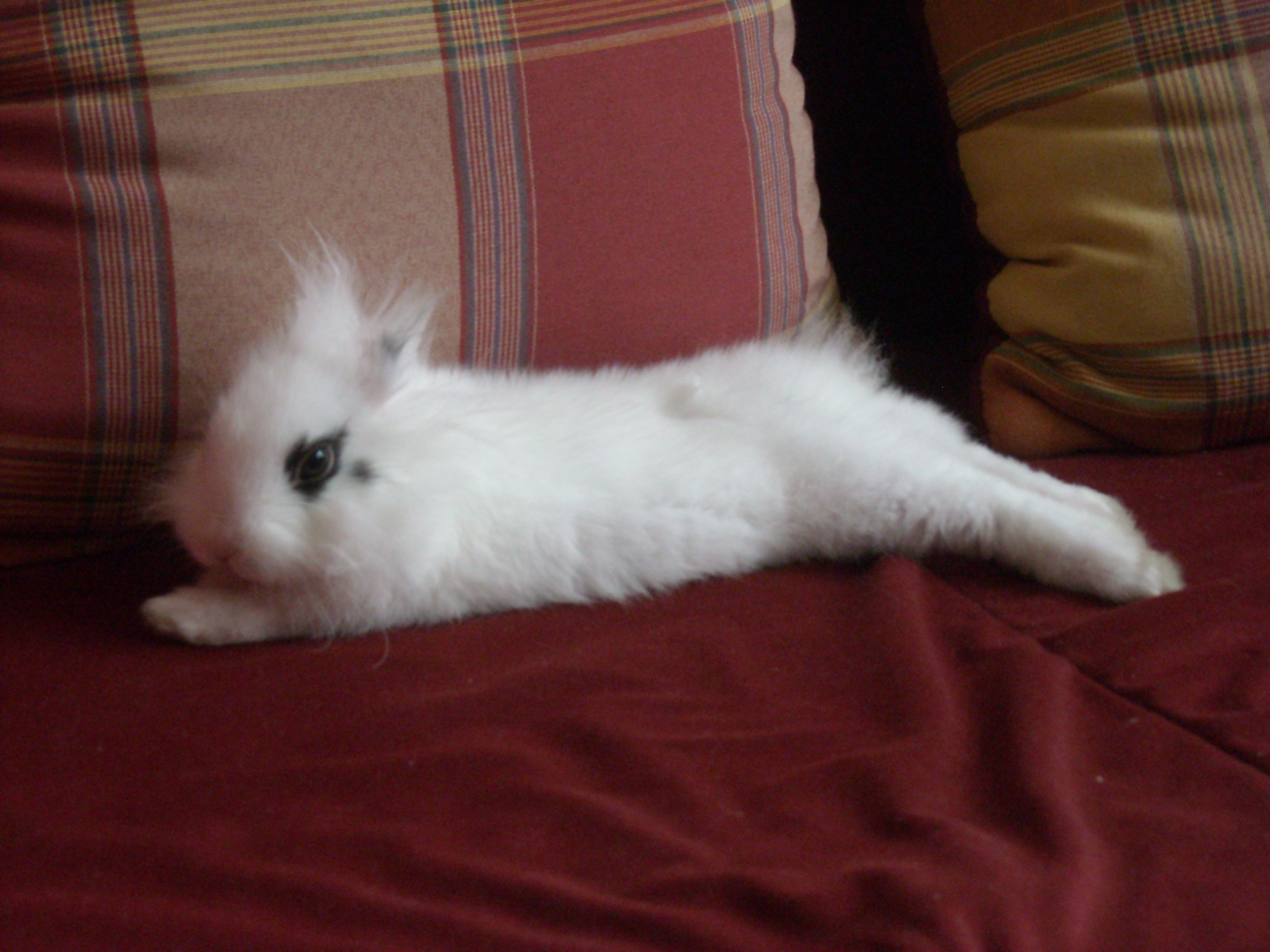 DSCN2496.jpg