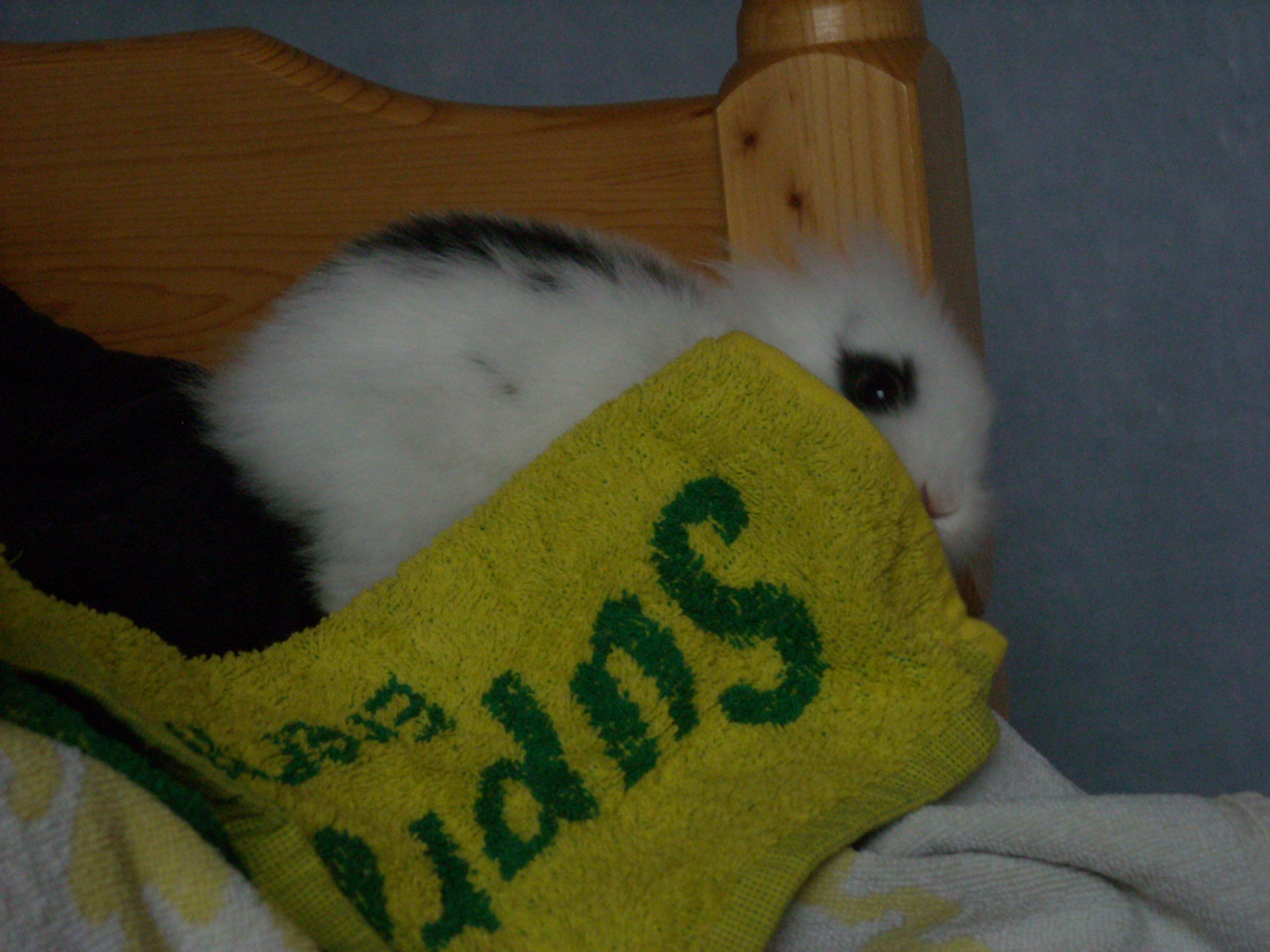 DSCN2456.jpg