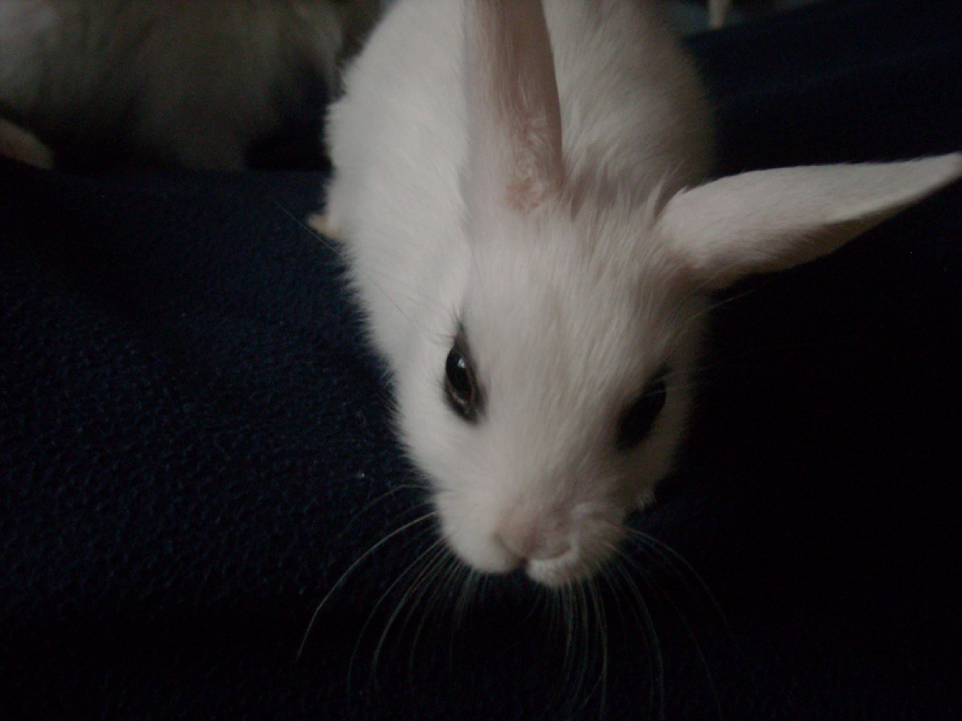 DSCN2446.jpg